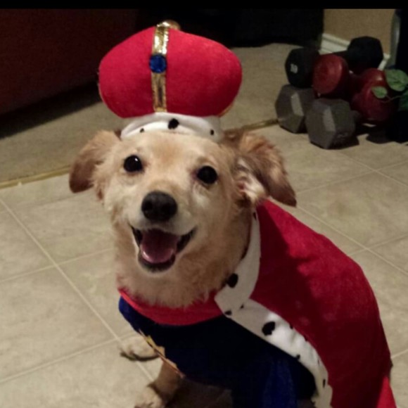 Meet the Posher Other - Meet your Posher, Patricia